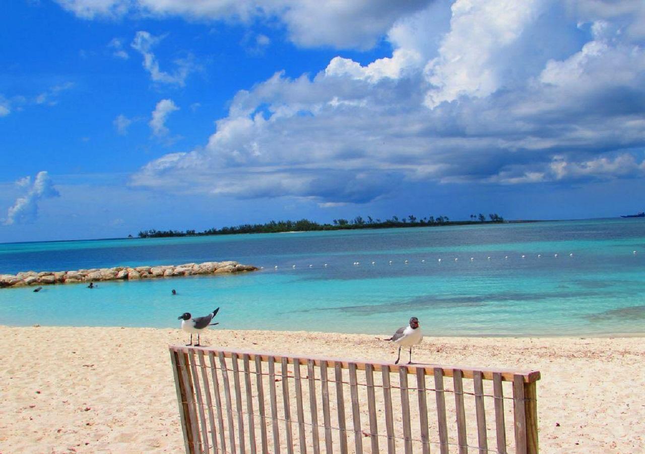 The Oasis Retreat Apartment Nassau Exterior photo